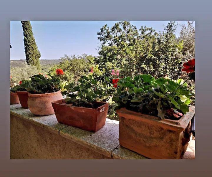 Appartamento La Zanzara Pergine Valdarno Exterior foto